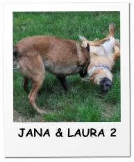 JANA & LAURA 2