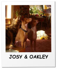 JOSY & OAKLEY