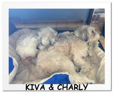 KIVA & CHARLY