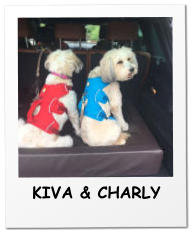 KIVA & CHARLY