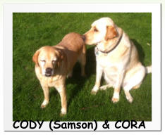 CODY (Samson) & CORA