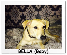 BELLA (Baby)