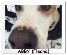 ABBY (Flecha)