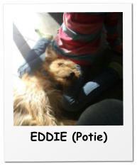 EDDIE (Potie)