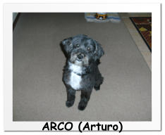 ARCO (Arturo)
