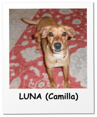LUNA (Camilla)