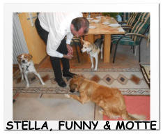 STELLA, FUNNY & MOTTE